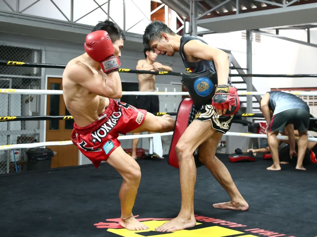 The trainer is using a pad guard to receive the lower strike.